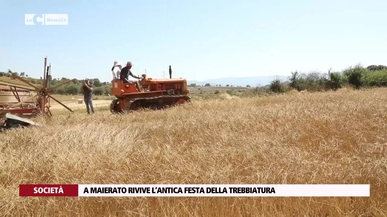 A Maierato rivive l’antica festa della trebbiatura