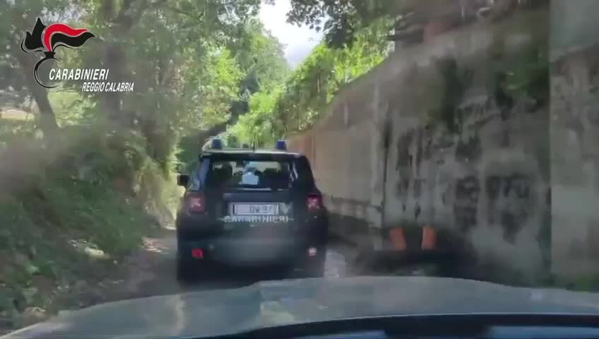 Piantagione a Giffone