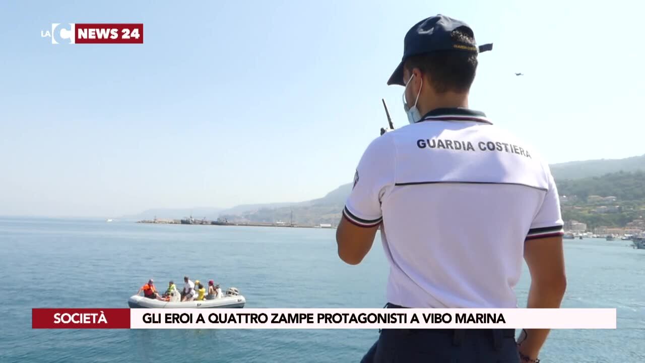 Gli eroi a quattro zampe protagonisti a Vibo Marina