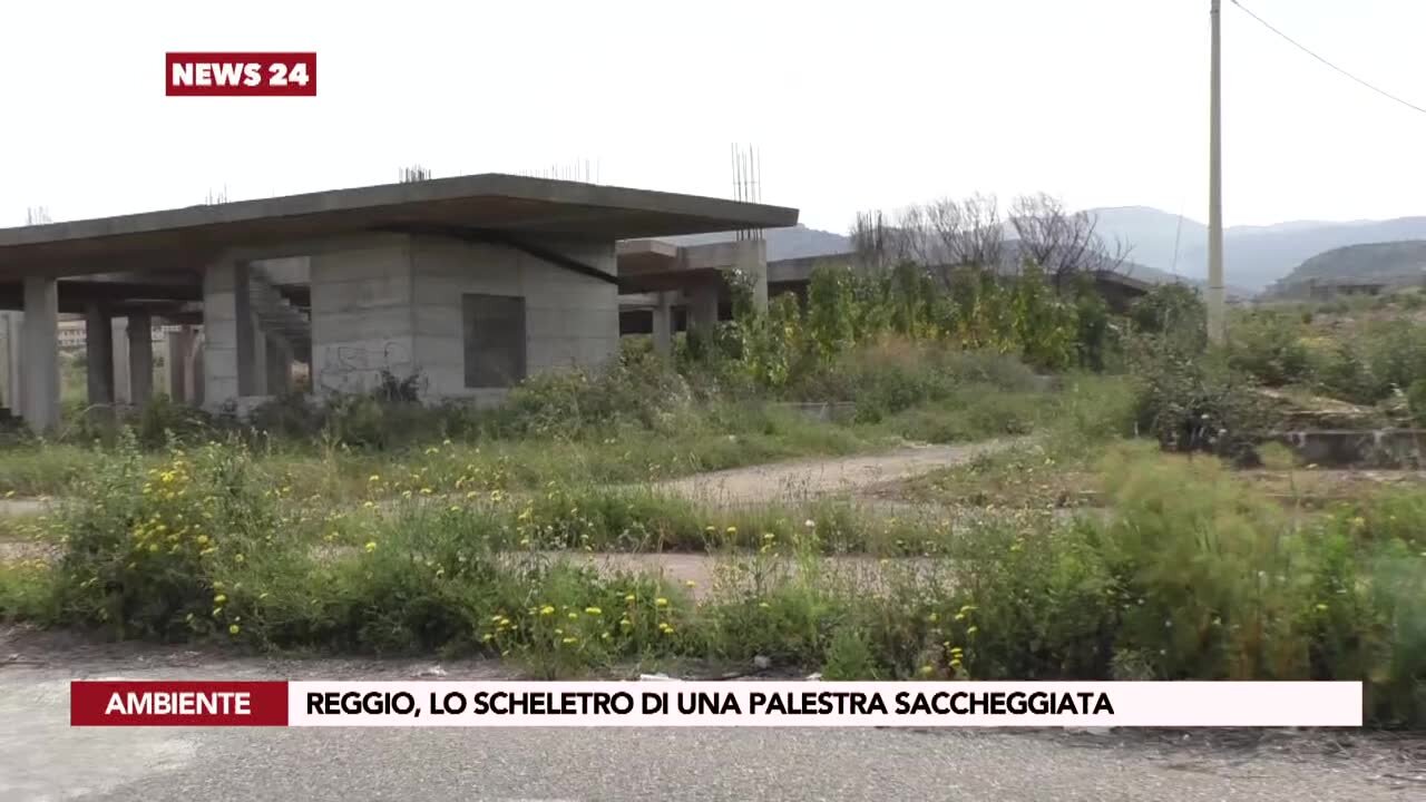 Reggio, lo scheletro di una palestra saccheggiata