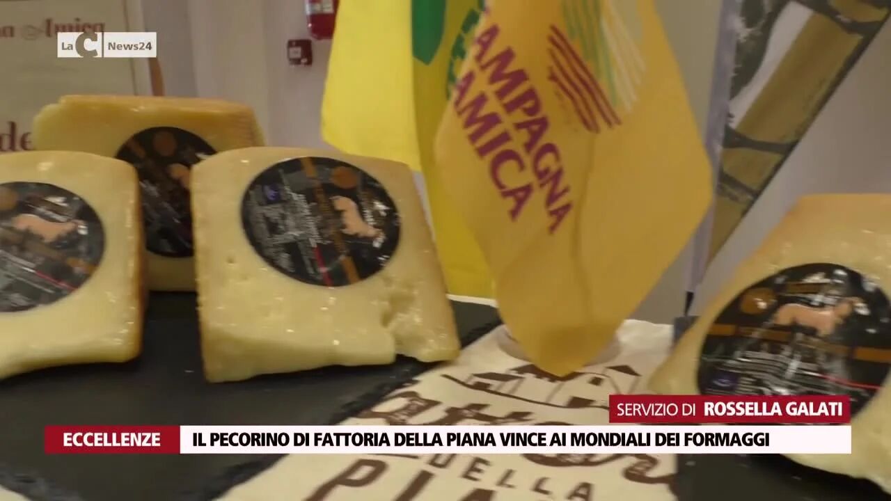 Il pecorino di Fattoria della Piana vince ai mondiali dei formaggi