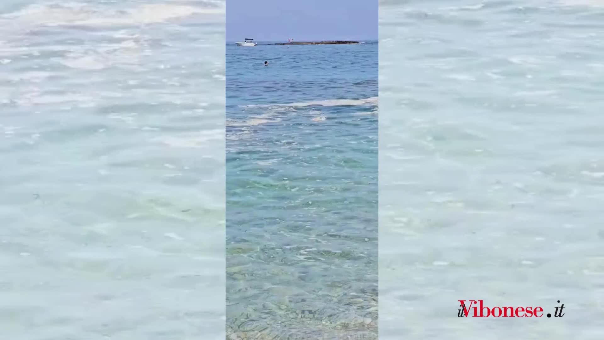 C'era una volta il mare blu... oggi solo schiuma e rifiuti galleggianti: anche la spiaggia di Formicoli a Ricadi disgusta i bagnanti -VIDEO