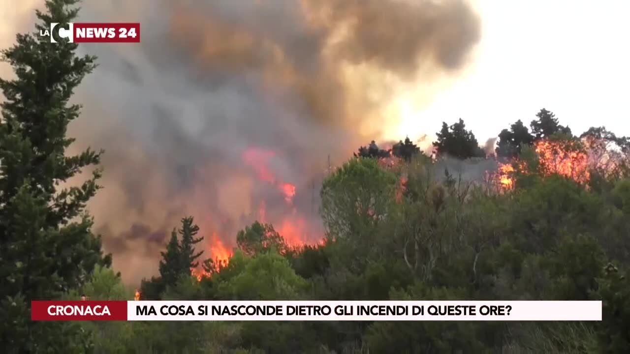 Ma cosa si nasconde dietro gli incendi di queste ore?