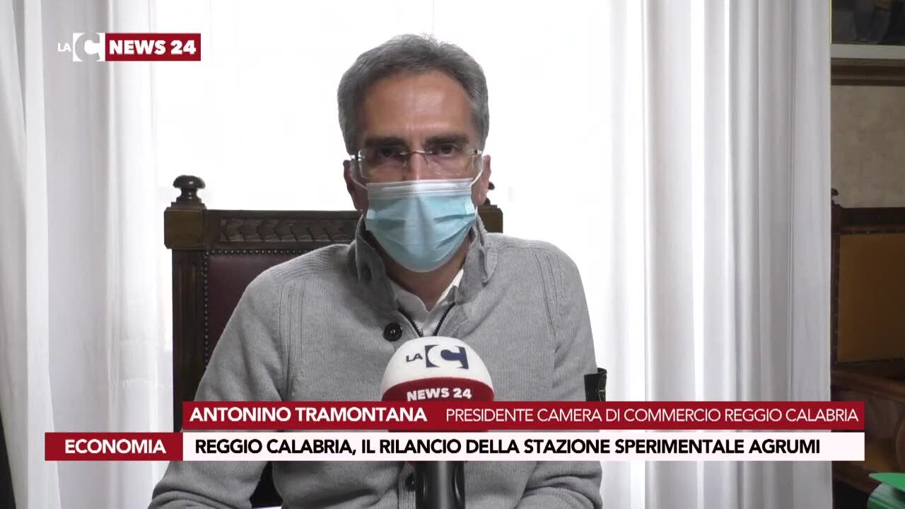 Reggio Calabria, il rilancio della stazione sperimentale agrumi