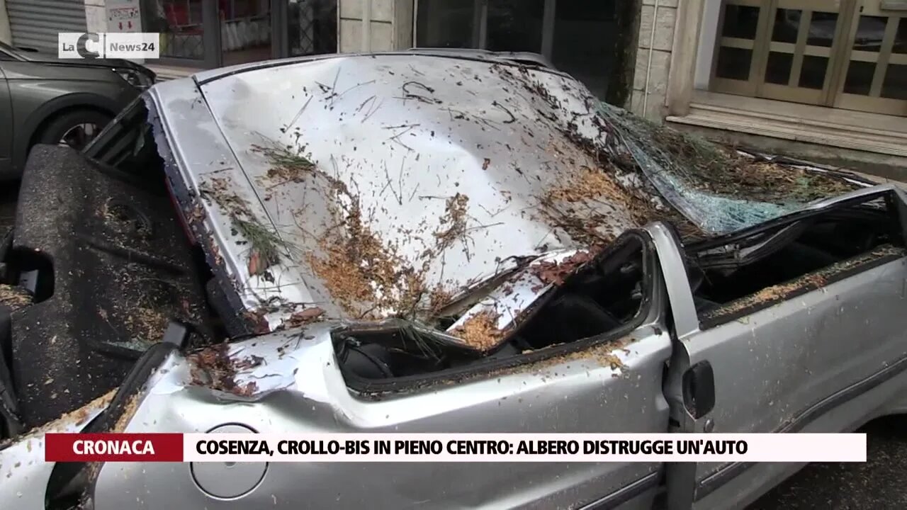 Cosenza, crollo-bis in pieno centro: albero distrugge un'auto