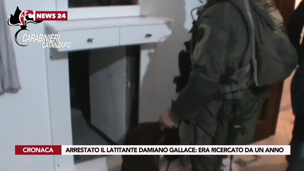 Arrestato il latitante Damiano Gallace: era ricercato da un anno