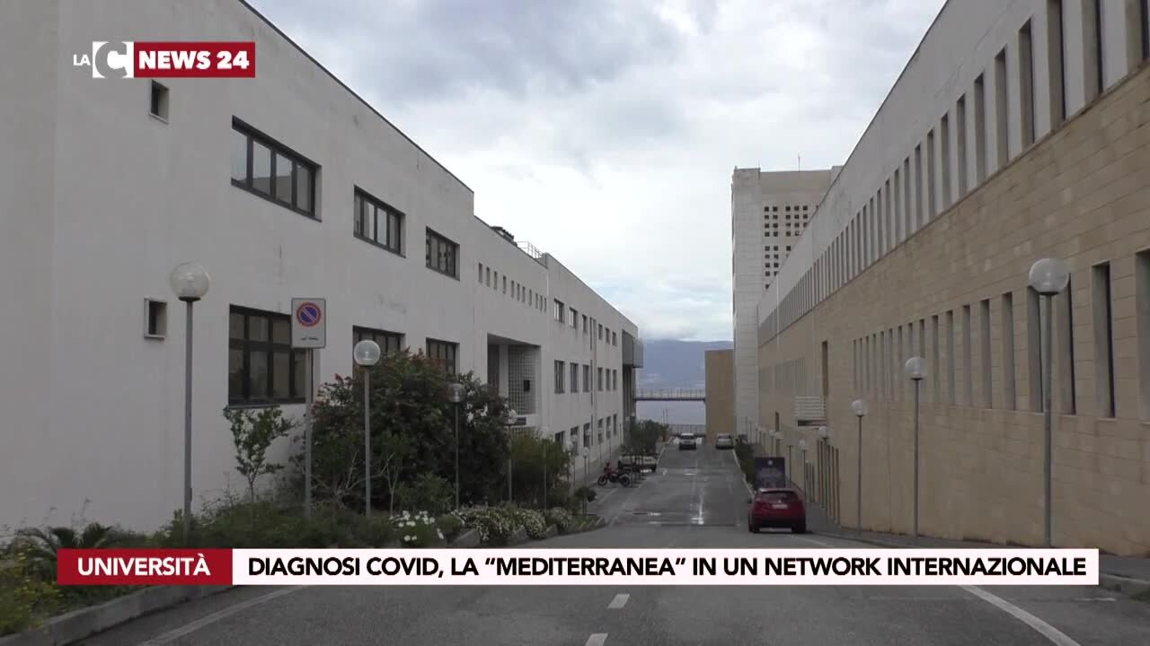 Origine e diagnosi del Covid, l'università di Reggio Calabria in un gruppo internazionale di ricerca