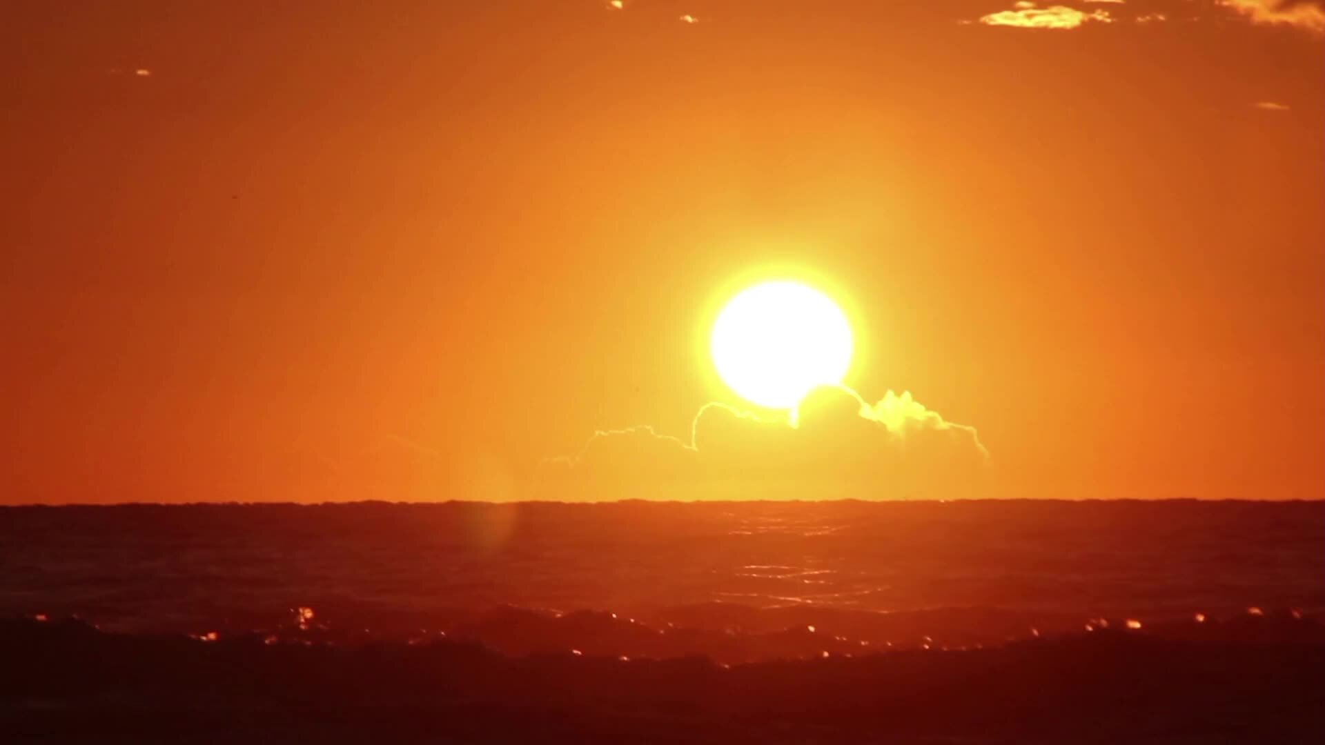 Emergenza siccità in Calabria: «Estate 2025? Sarà come le precedenti, ma possiamo prevenire» | VIDEO