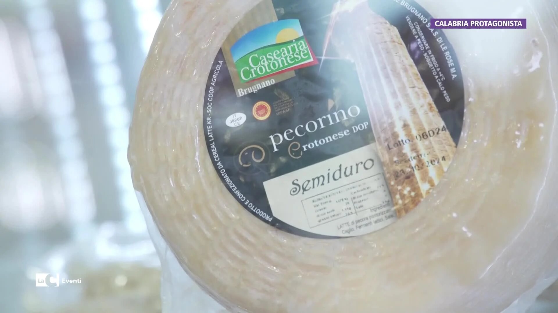 Al Cibus anche la tradizione nobilissima del Pecorino Crotonese, una Dop che ha radici molto antiche