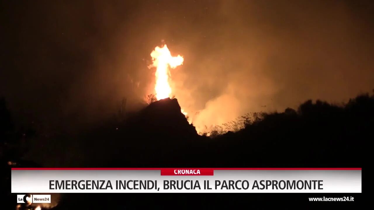 Emergenza incendi, brucia il parco Aspromonte