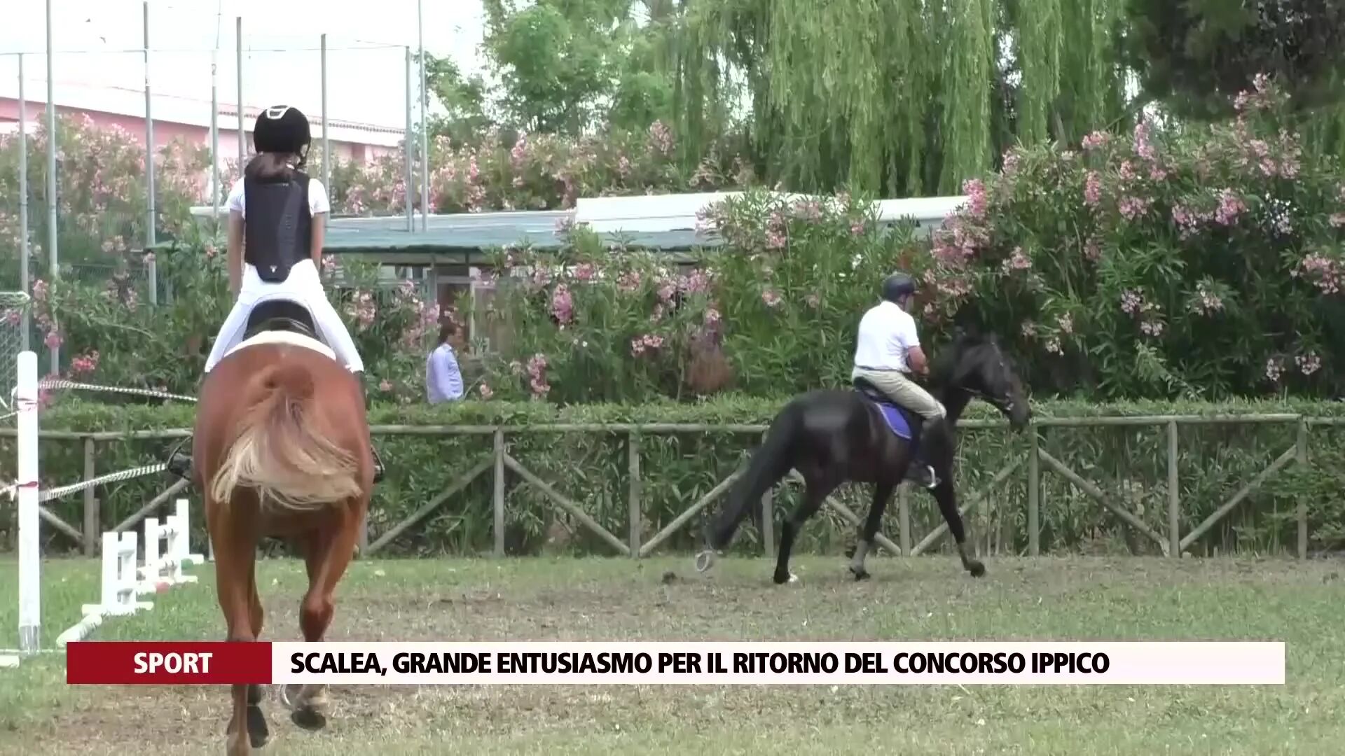 Scalea, grande entusiasmo per il ritorno del concorso ippico