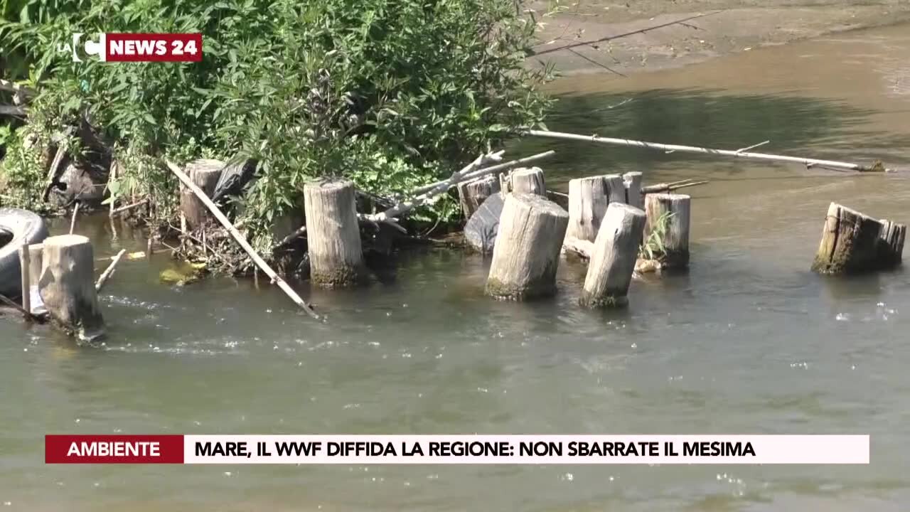 Il Wwf diffida la Regione: «Non sbarrate il fiume Mesima»