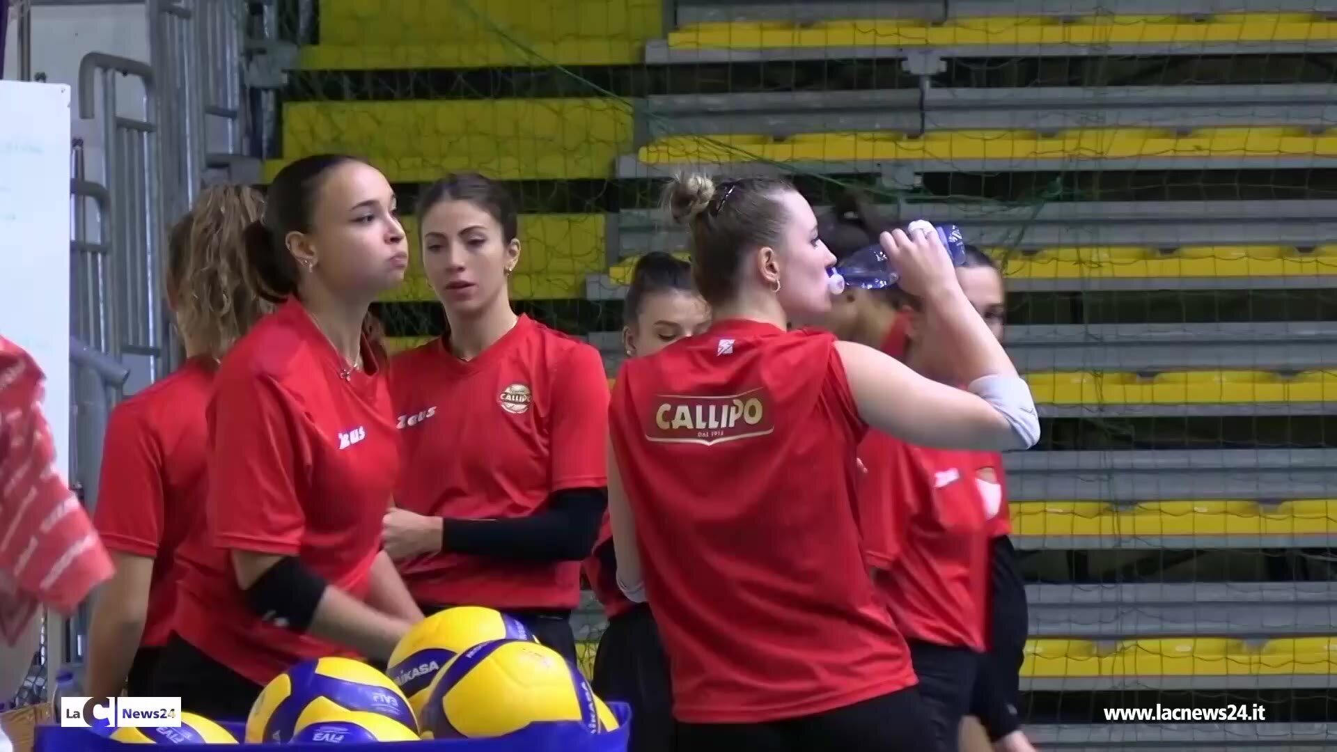 Volley, Tonno Callipo femminile verso l’esordio in B2