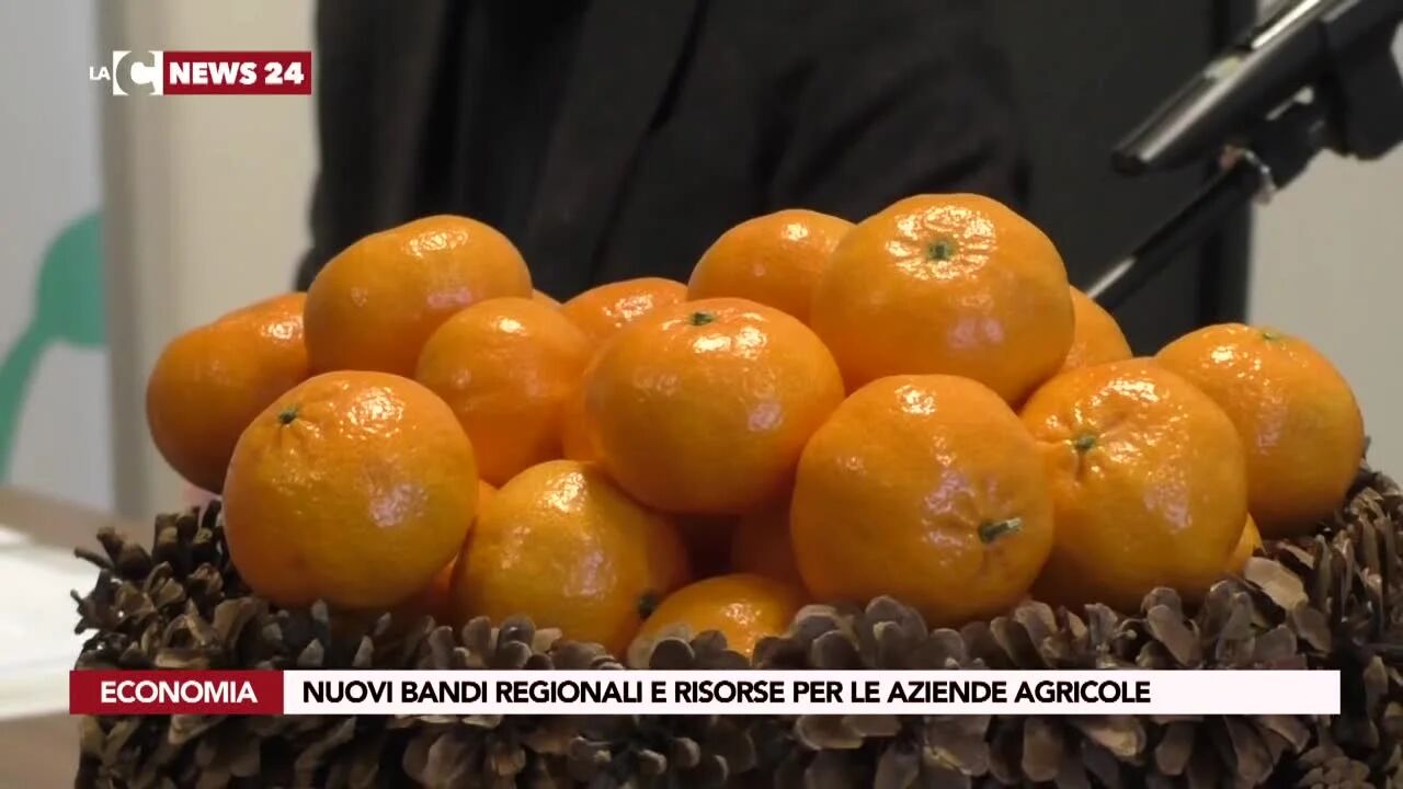 Nuovi bandi regionali e risorse per le aziende agricole