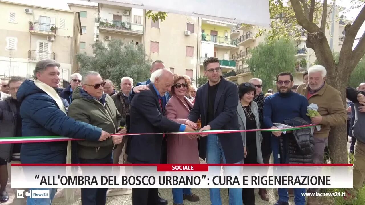 "All'ombra del bosco urbano”: cura e rigenerazione