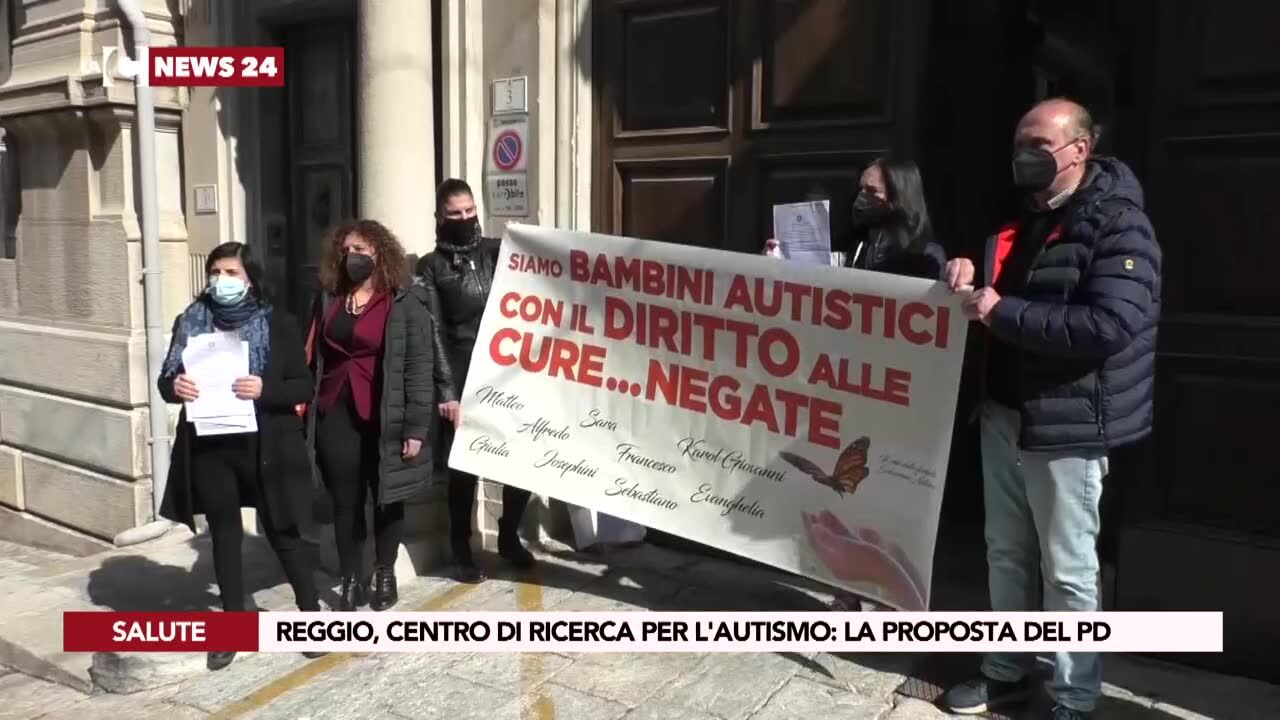 Reggio, centro di ricerca per l'autismo: la proposta del Pd