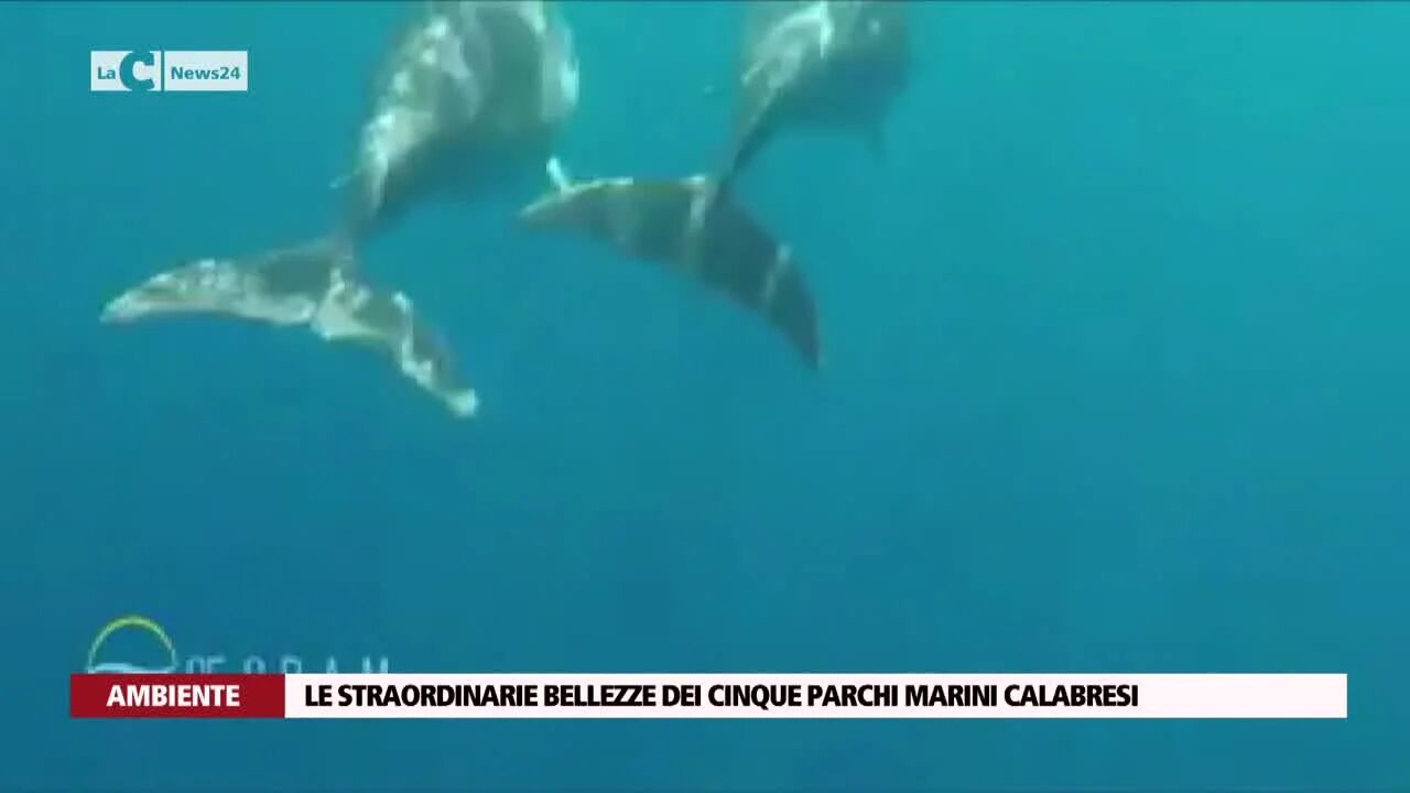 Le straordinarie bellezze dei cinque parchi marini calabresi