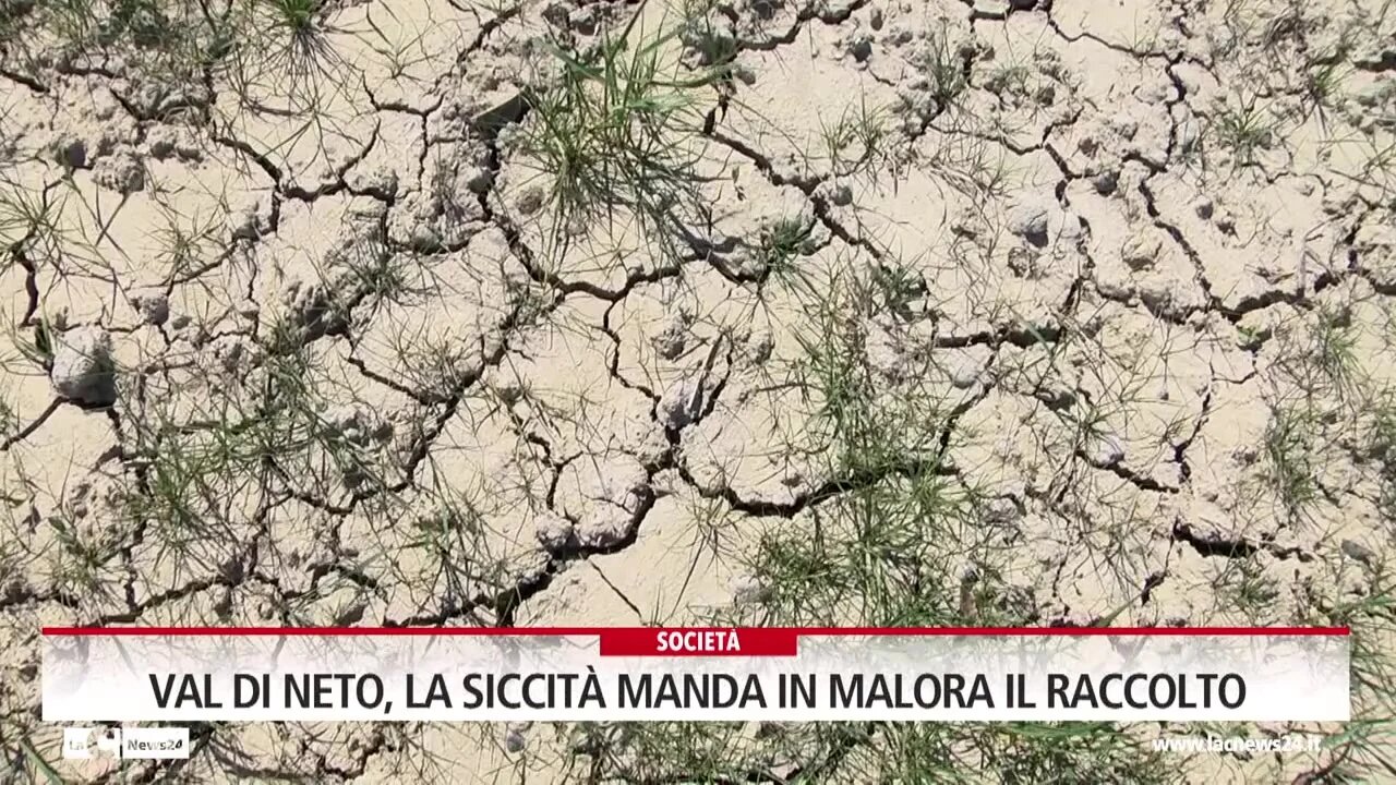 Val di Neto, la siccità manda in malora il raccolto