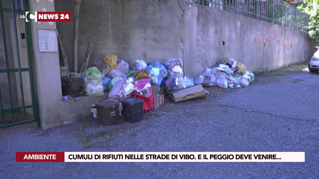 Cumuli di rifiuti nelle strade di Vibo. E il peggio deve venire...