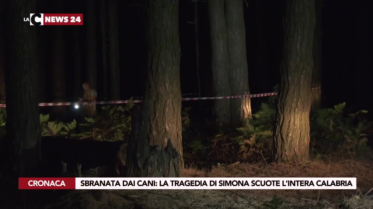 Sbranata dai cani: la tragedia di Simona scuote l’intera Calabria