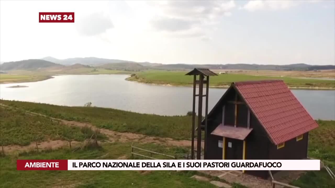 Il parco nazionale della Sila e i suoi pastori guardafuoco