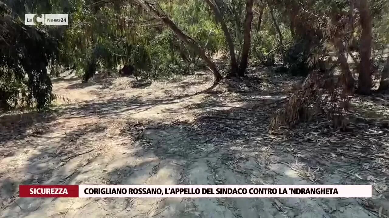 Corigliano Rossano, l’appello del sindaco contro la 'ndrangheta