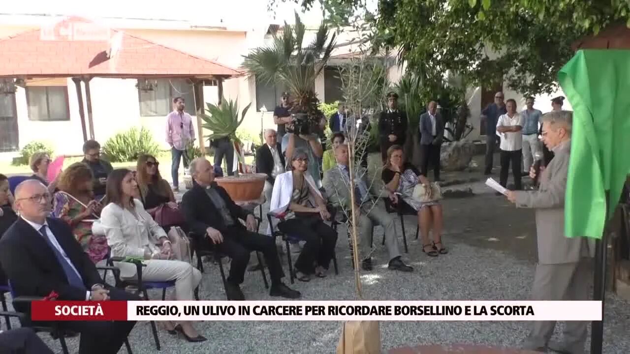 Reggio, un ulivo in carcere per ricordare borsellino e la scorta