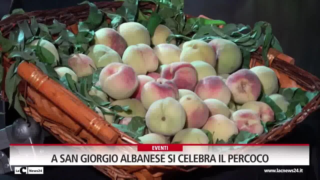 A San Giorgio Albanese si celebra il Percoco