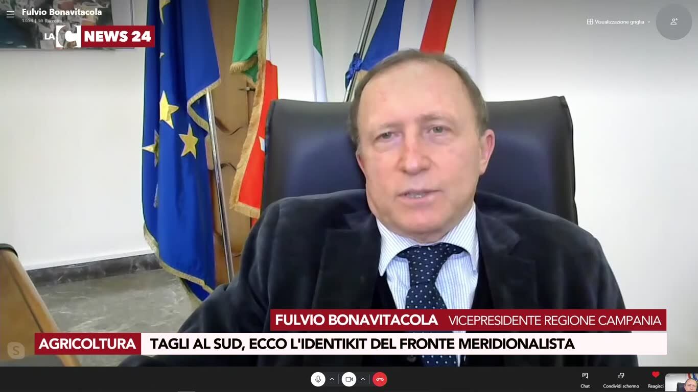 Tagli al Sud, ecco l'identikit del fronte meridionalista