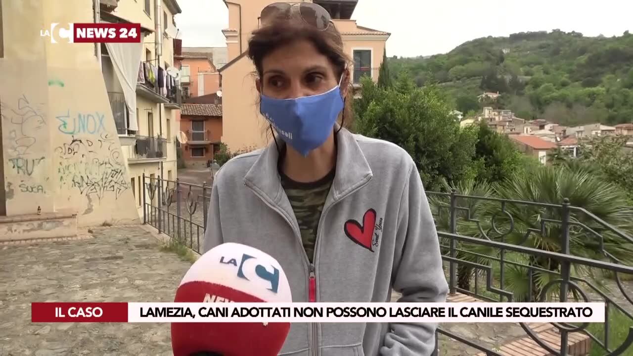 Cani adottati non possono lasciare il canile sequestrato