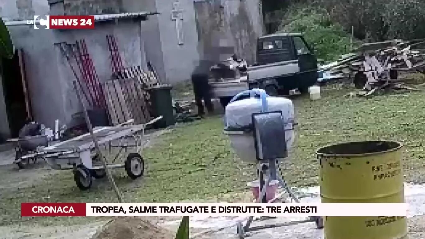 Tropea, salme trafugate e distrutte: tre arresti