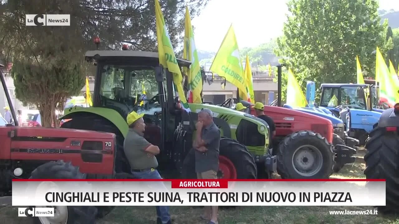 Cinghiali e peste suina, trattori di nuovo in piazza