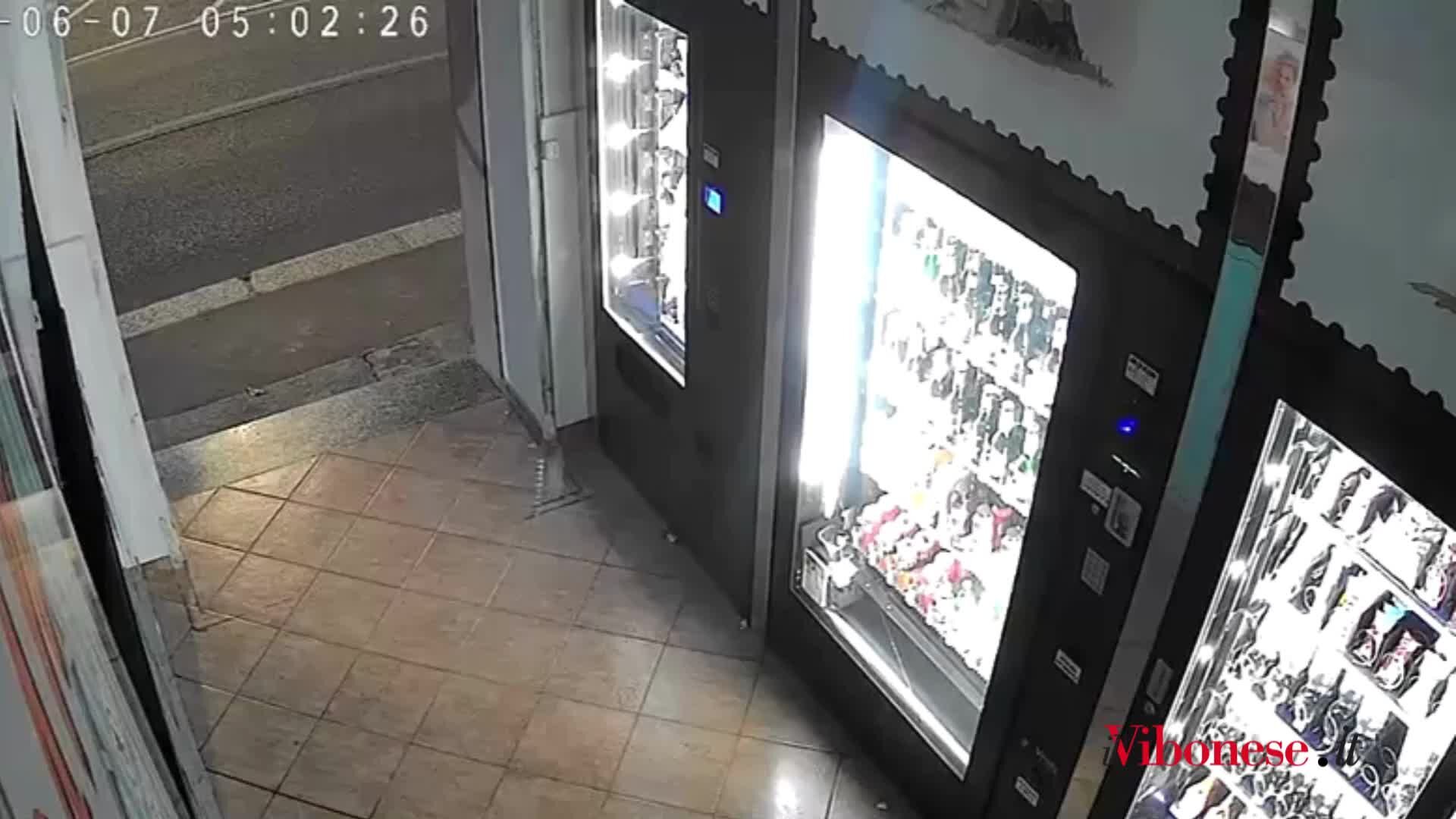 Mileto, entrano e sfasciano tutto a martellate: il VIDEO del blitz subito da un piccolo negozio appena inaugurato