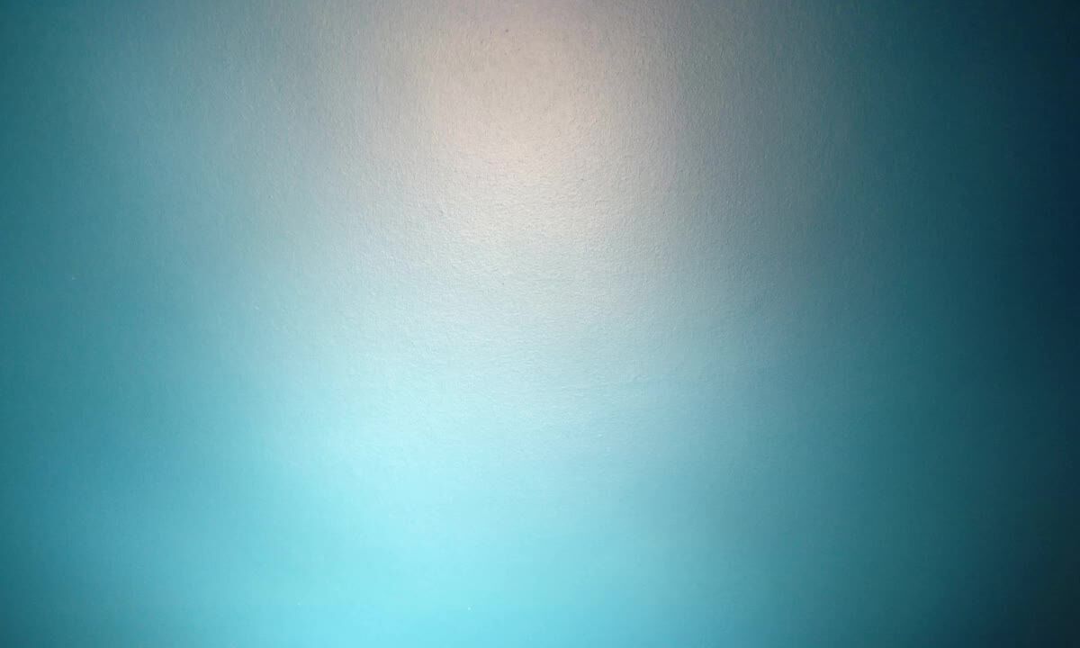 L'assessore regionale Orsomarso presenta i nuovi bus calabresi