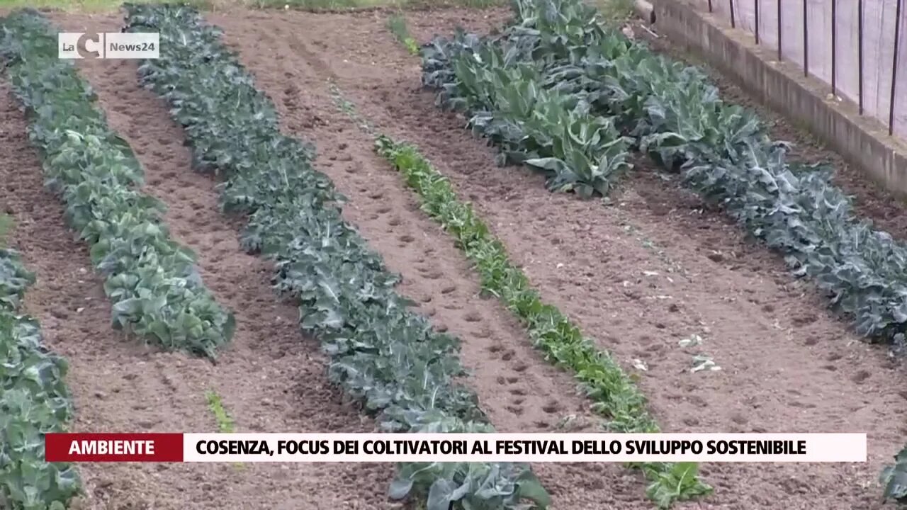 Cosenza, focus dei coltivatori al Festival dello Sviluppo Sostenibile