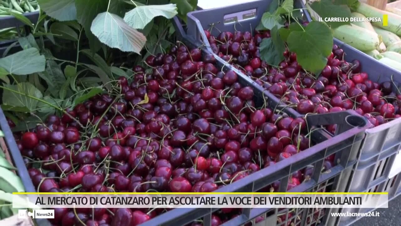 RUBRICA CARRELLO DELLA SPESA - AL MERCATO DI CATANZARO PER ASCOLTARE LA VOCE DEI VENDITORI AMBULANTI