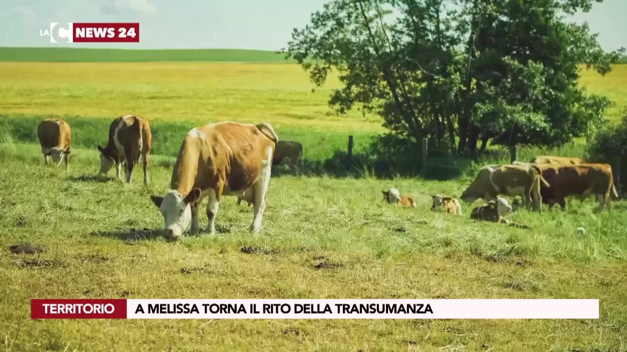 A Melissa torna il rito della transumanza
