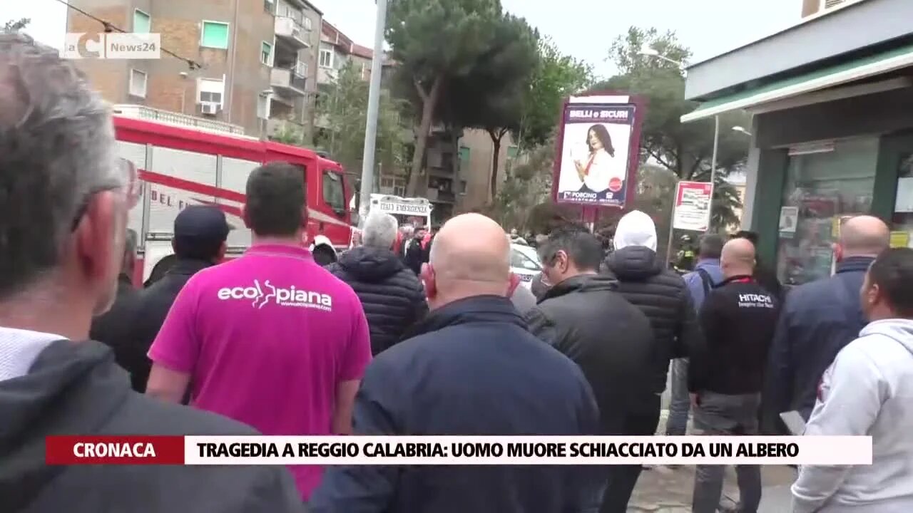 Tragedia a Reggio Calabria: uomo muore schiacciato da un albero