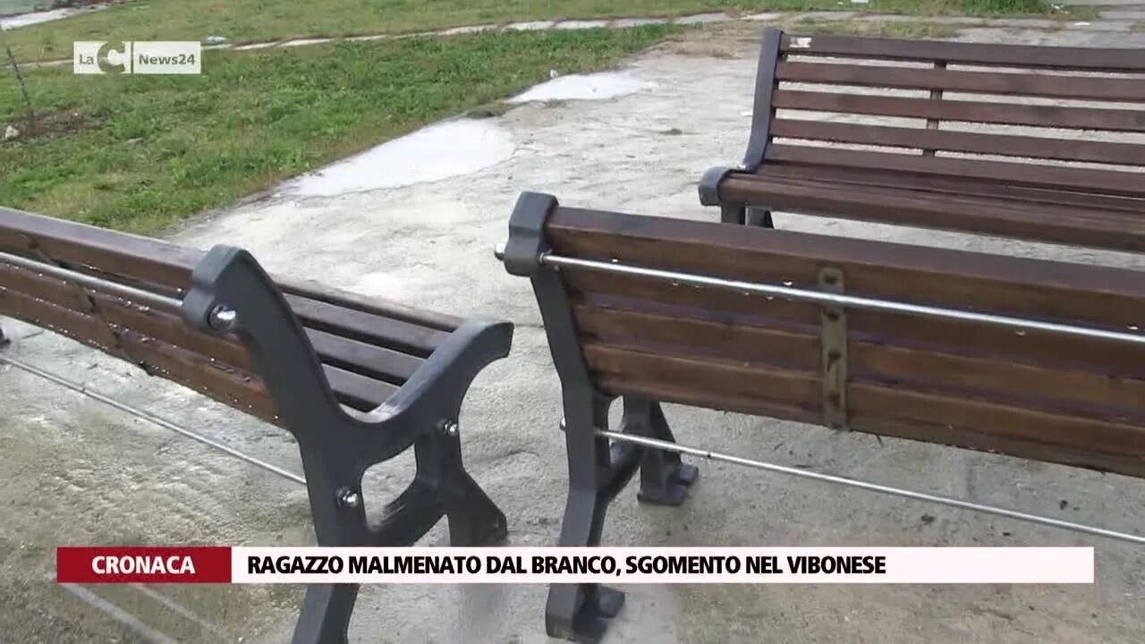 Ragazzo malmenato dal branco, sgomento nel Vibonese