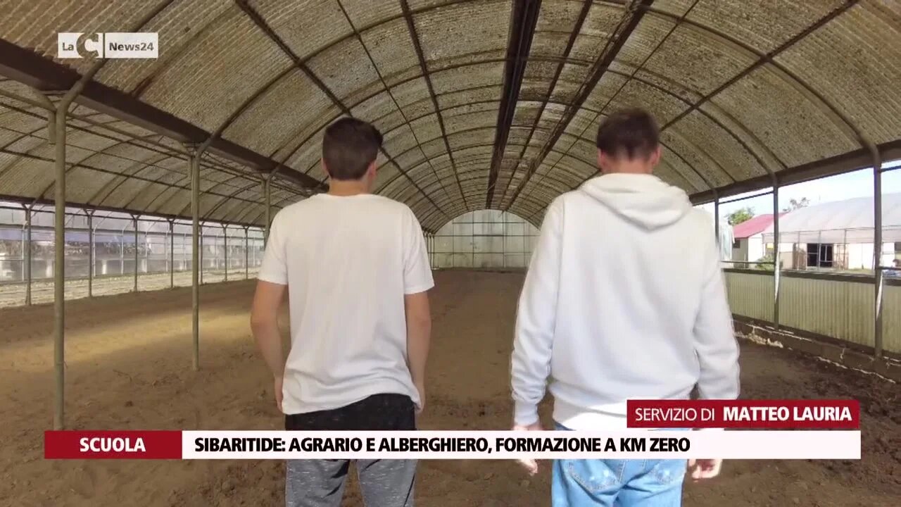 Platini strega il Mgg
