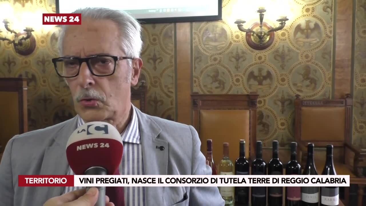 Vini pregiati, nasce il consorzio di tutela Terre di Reggio Calabria
