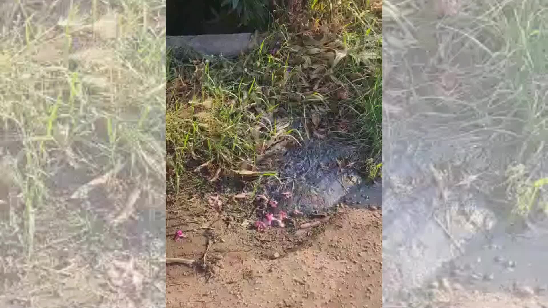 Tropea, liquami in strada e a mare dal depuratore Argani. L'ex consigliere Piserà: «Salute cittadini e turismo in pericolo» -VIDEO
