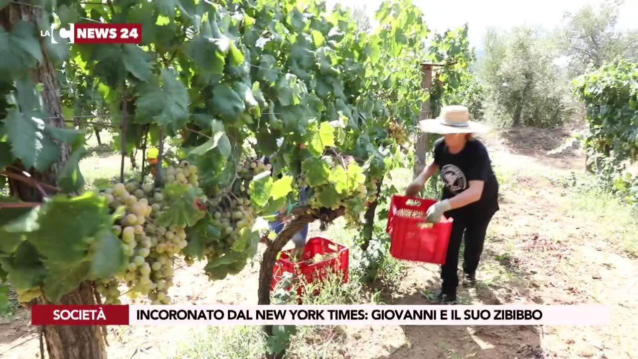 Incoronato dal New York Times: Giovanni e il suo zibibbo