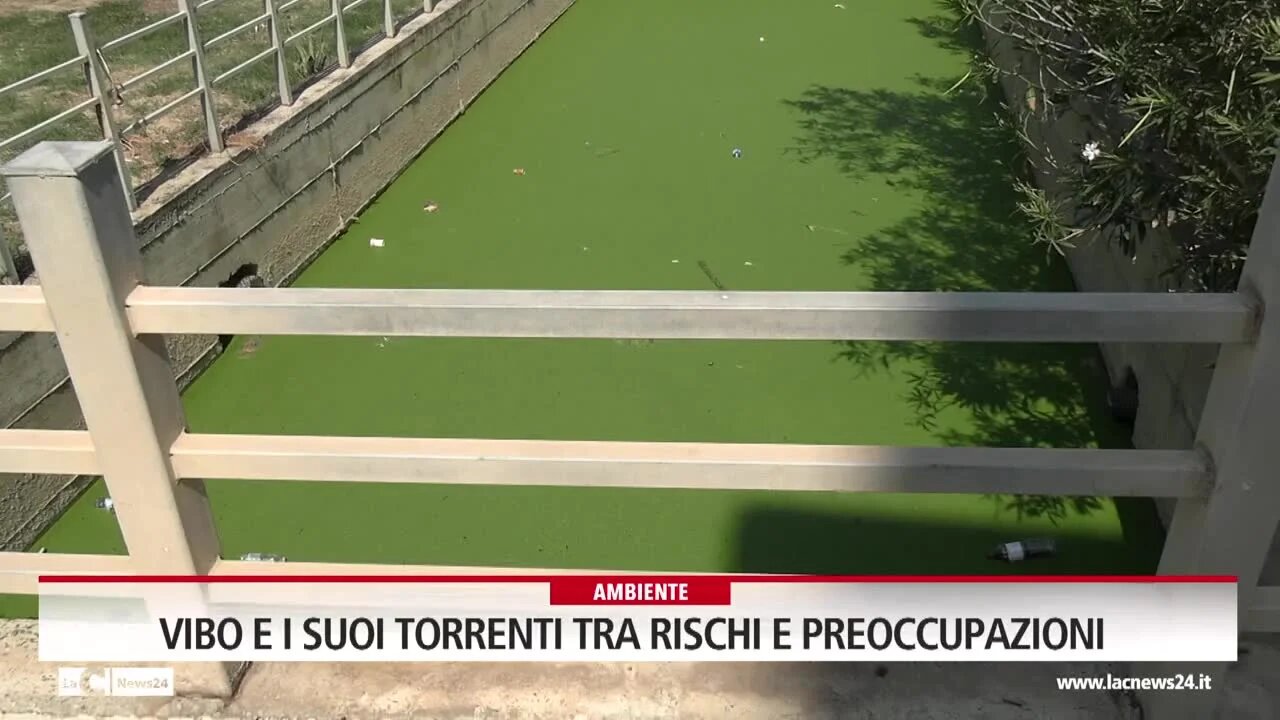 Vibo, preoccupa lo stato dei torrenti tra vegetazione incontrollata e liquami: «Costretti a barricarci in casa per la puzza»