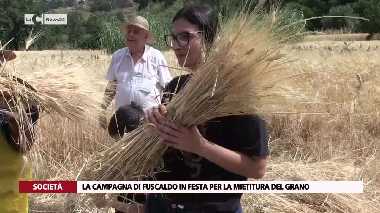 La campagna di Fuscaldo in festa per la mietitura del grano