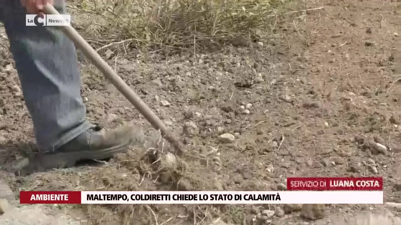 Maltempo, Coldiretti chiede lo stato di calamità