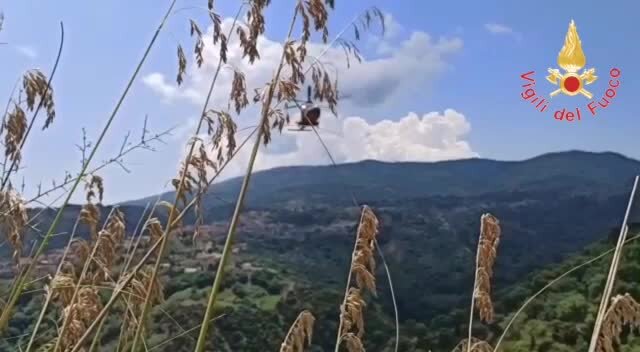 Due vitelli cadono in un dirupo nel Catanzarese, recuperati dai vigili del fuoco con un elicottero -Video