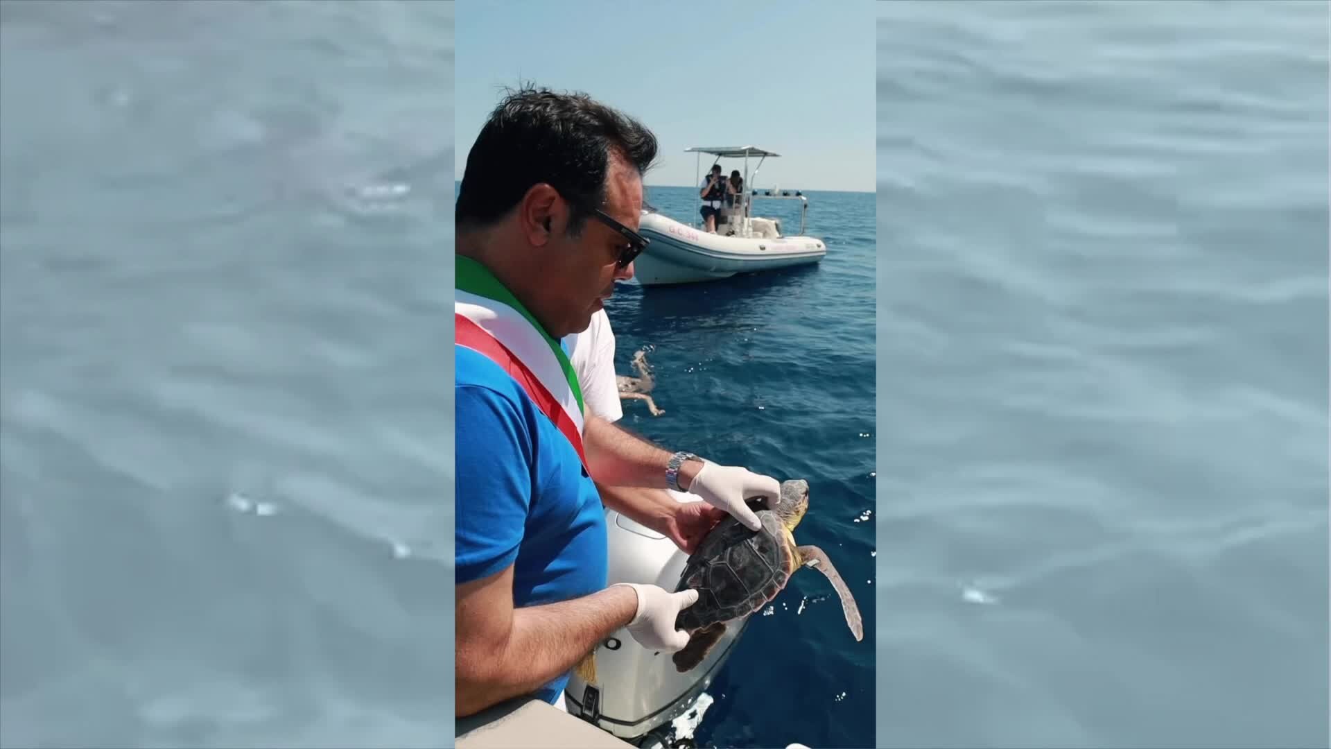 Villapiana, liberata in mare una tartaruga Caretta Caretta | VIDEO